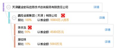 天津藏金密码信息技术咨询服务有限责任公司 专业信息技术咨询服务的引领者